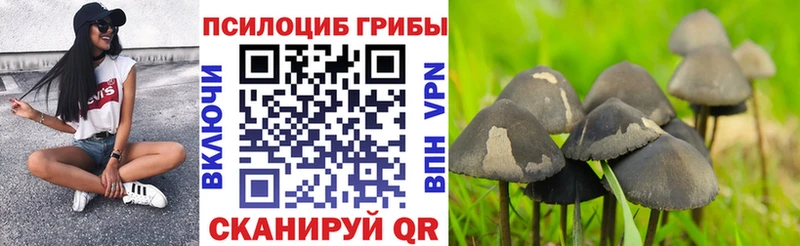 МЕГА ссылка  Краснокаменск  Галлюциногенные грибы мухоморы 